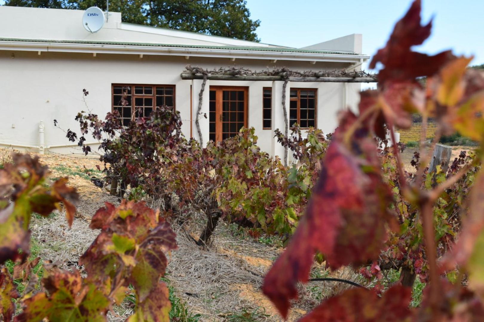 Vredehoek Guest Farm Breërivier Exterior foto